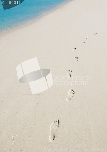 Image of tropical beach