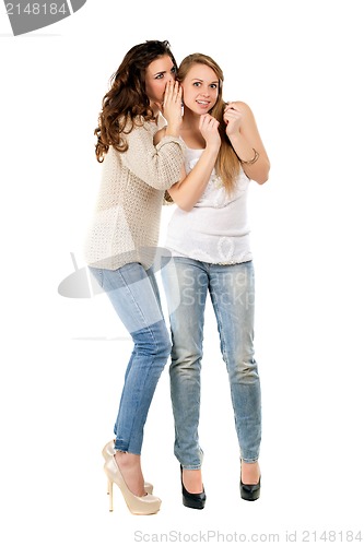 Image of Attractive young gossipy women