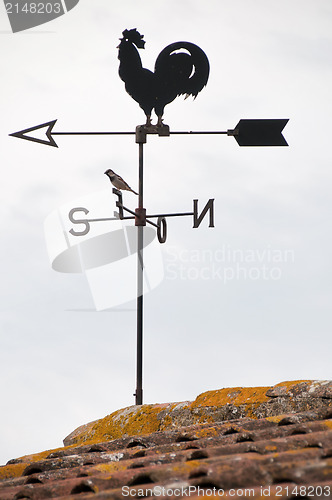 Image of Wind cock weather vane direction