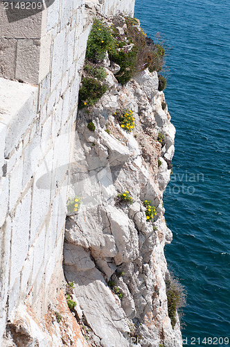 Image of The cliff and sea