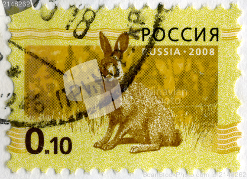 Image of RUSSIA - CIRCA 2008: Stamp printed in RUSSIA showing hare Bunny 