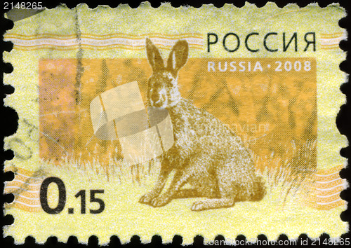 Image of RUSSIA - CIRCA 2008: Stamp printed in RUSSIA showing hare Bunny 