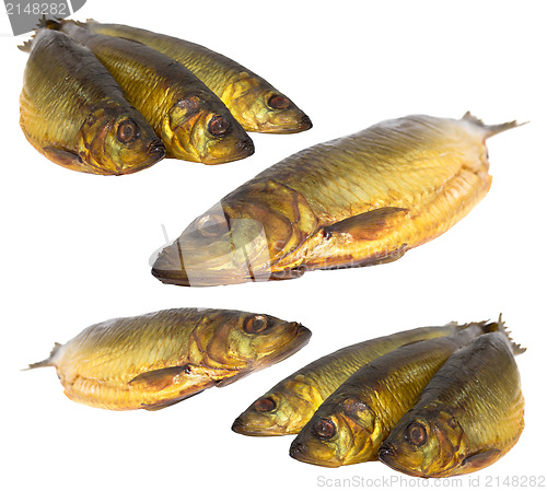 Image of Set fresh sea fishes lie nearby on a white background
