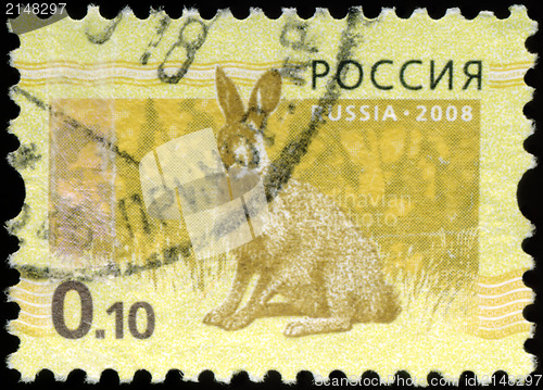 Image of RUSSIA - CIRCA 2008: Stamp printed in RUSSIA showing hare Bunny 