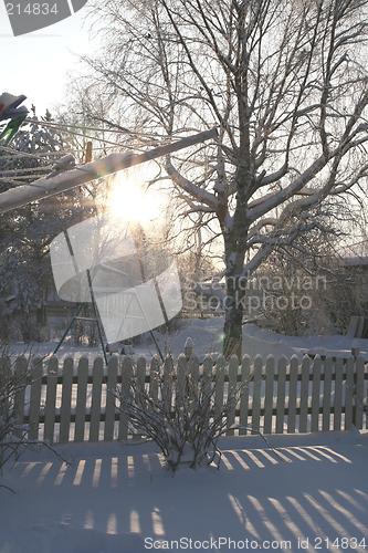 Image of January sun