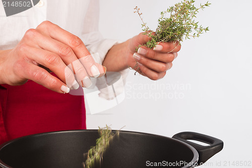 Image of Thyme