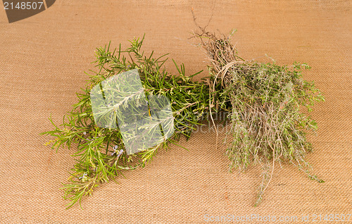 Image of Rosemary and thyme