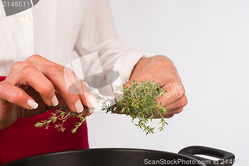 Image of Seasoning with thyme