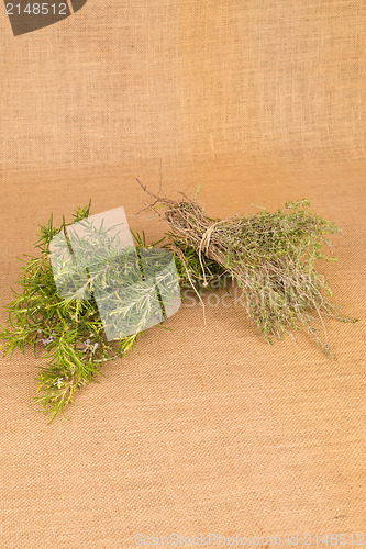Image of Rosemary and thyme
