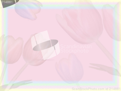 Image of Spring Background 2