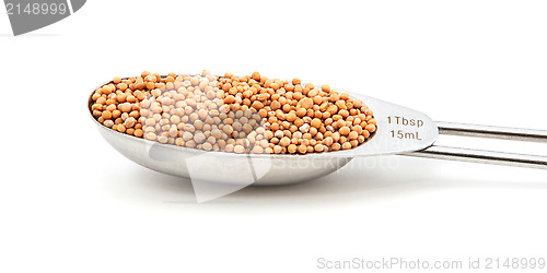 Image of Mustard seeds measured in a metal tablespoon