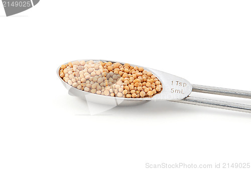 Image of Whole mustard seeds measured in a metal teaspoon