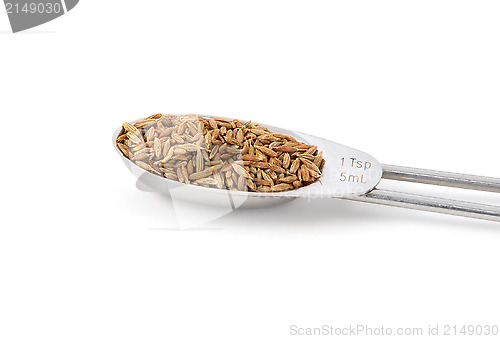 Image of Whole cumin seeds measured in a metal teaspoon