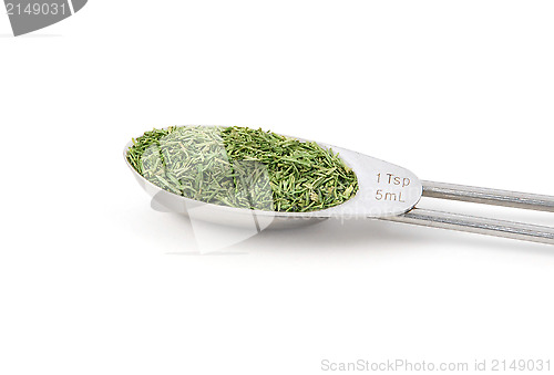 Image of Dill tops measured in a metal teaspoon