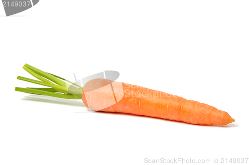 Image of Carrot on White