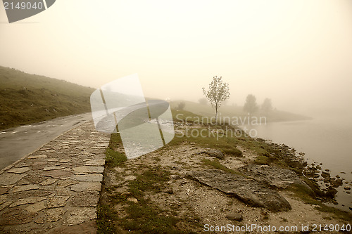 Image of Misty morning