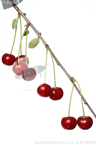Image of Cherries