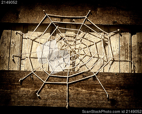 Image of Spider web