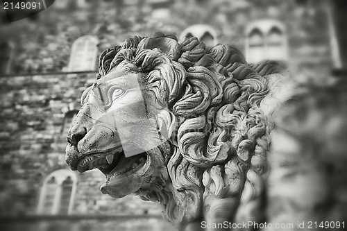 Image of Stone lion - Florence