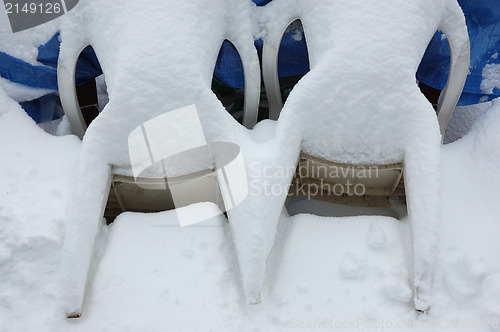 Image of Garden in winter