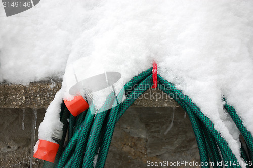 Image of Garden hose