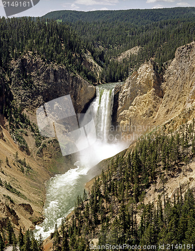 Image of Lower Falls, Yellowstone National Park, Wyoming, 