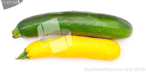 Image of Two Fresh Vegetable Zucchini