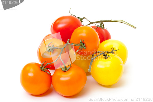 Image of Multicolored Ripe Fresh Tomatoes