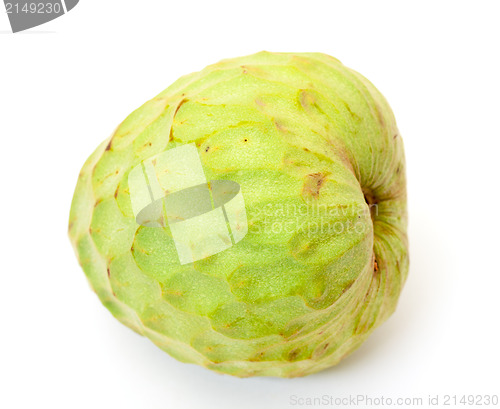 Image of Fresh Vegetable Chirimuya
