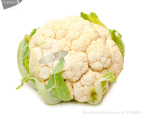 Image of Fresh Cauliflower
