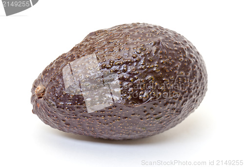 Image of Haas Avocado