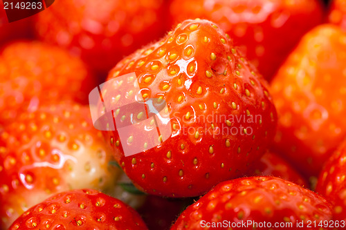 Image of Fresh Strawberries