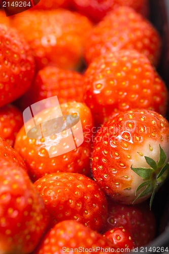 Image of Fresh Strawberries in a Plastic Container