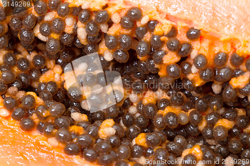 Image of Seed Fresh Papaya