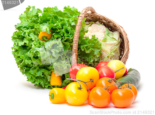 Image of Mixed Fresh Vegetables in Basket