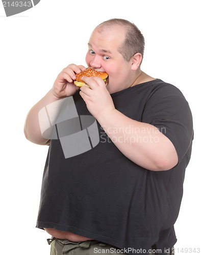 Image of Fat Man Greedily Eating Hamburger