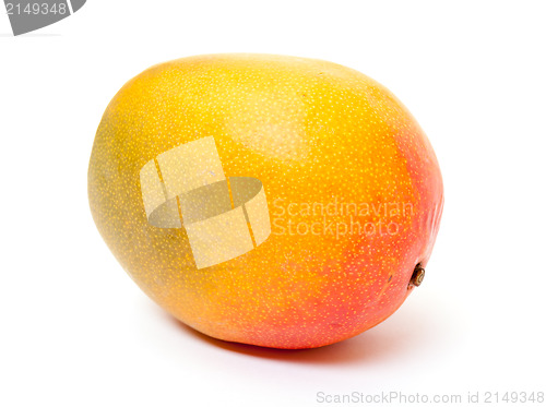 Image of Fresh Mango