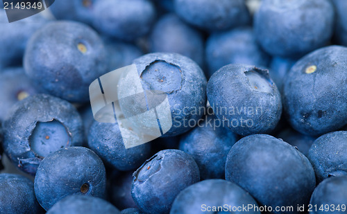Image of Fresh Blueberries