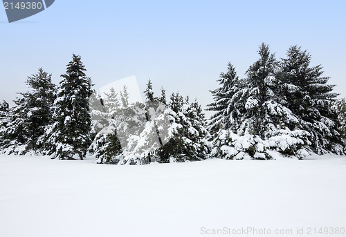 Image of Winter landscape after the snowstorm