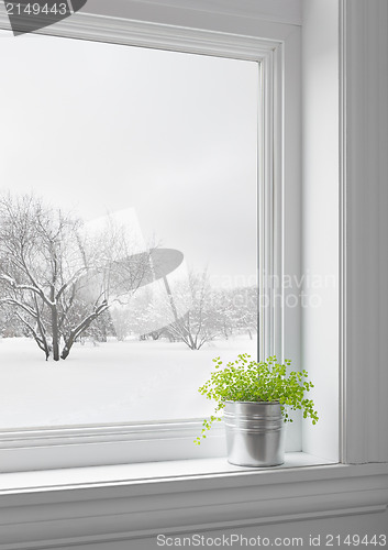 Image of Green plant and winter landscape seen through the window