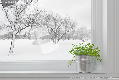 Image of Winter landscape seen through the window, and green plant