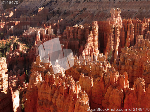 Image of Bryce Canyon Views