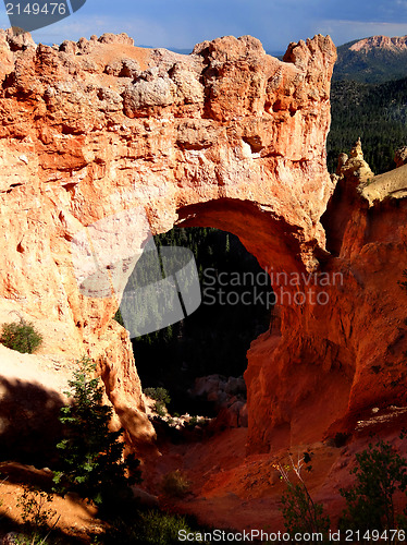 Image of Bryce Canyon Views