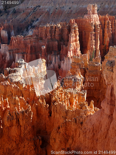 Image of Bryce Canyon Views