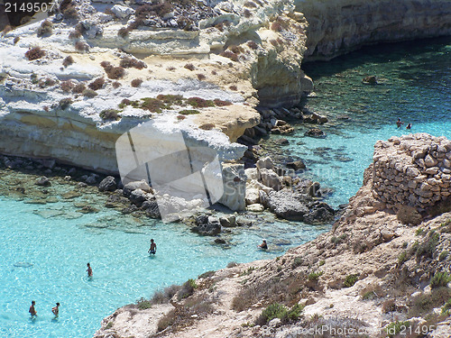 Image of particular of island of rabbits. Lampedusa- Sicily