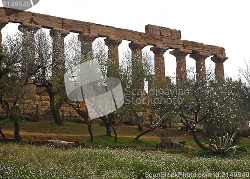 Image of Greek temple of Agrigento