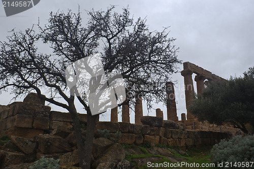 Image of Greek temple of Agrigento