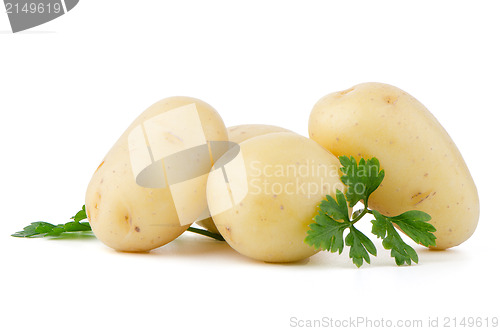 Image of New potatoes and green parsley