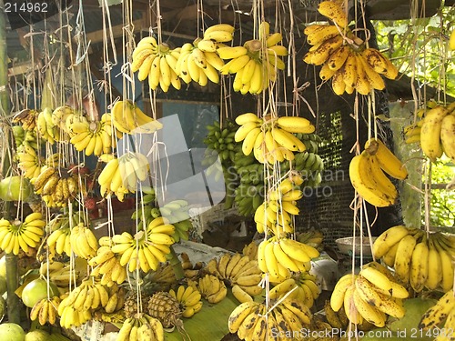 Image of Banana shop