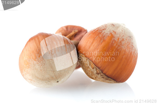 Image of Three hazelnuts